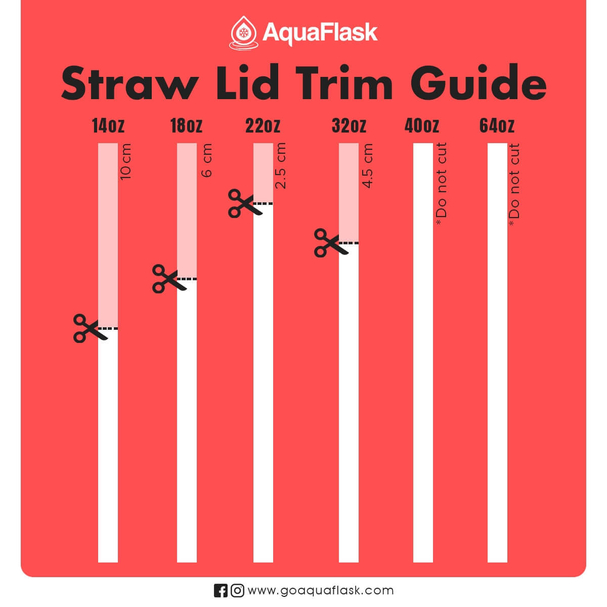 Straw Lid Basic